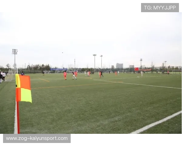 足球场地智能管理系统实现全境监控，保障安全高效，足球场地设施